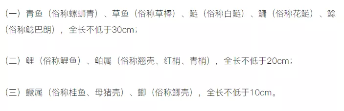 钓鱼|鲫鱼小于10厘米,渔获超过10条就必须放流,野钓应该怎么办