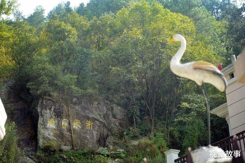 别墅|农村人在山中建别墅，有人说漂亮，有人称其为“动物园”