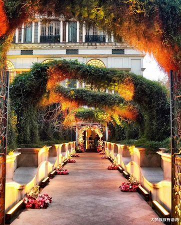 梁朝伟|刘嘉玲庆56岁生日！梁朝伟被正妹“环抱贴脸”尴尬表情曝光