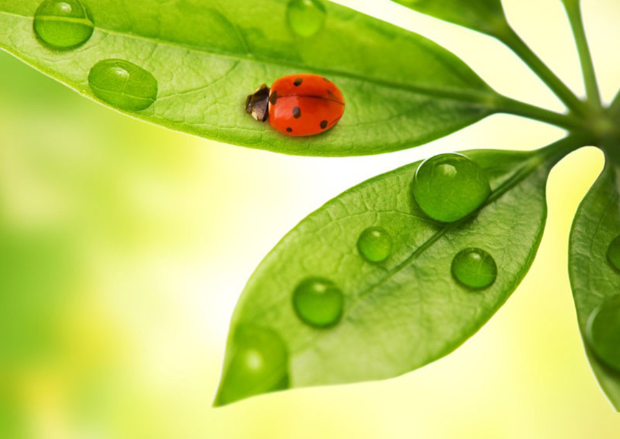 那年的星座|下半年起，财运旺盛年，3属相运势大吉，事业宏图大展，富得流油