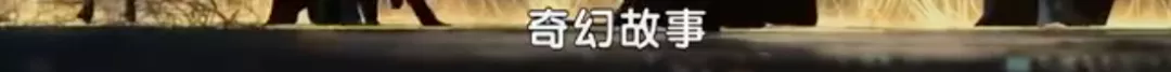 龙虎武师|央视里玩得最野的，非它莫属