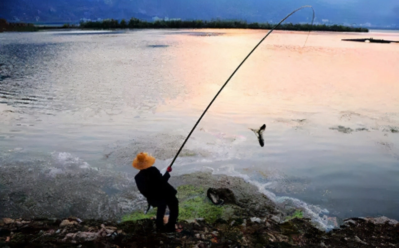 |到了夏天哪里都热，到底哪里才是鱼群扎窝的好位置