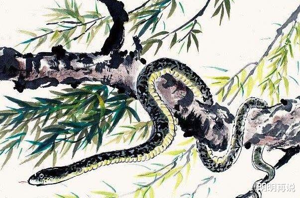 明明再说 属蛇人：四月有“声泪俱下”的大事件，大师算的准得离谱！