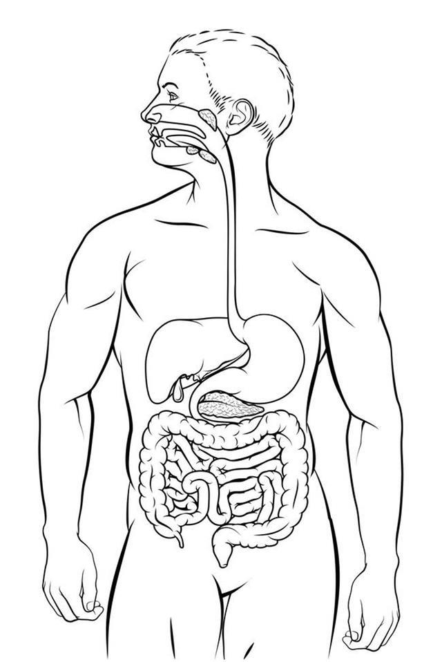 医生|作为一体检项目，肛门指检究竟有没有用？医生告诉你答案