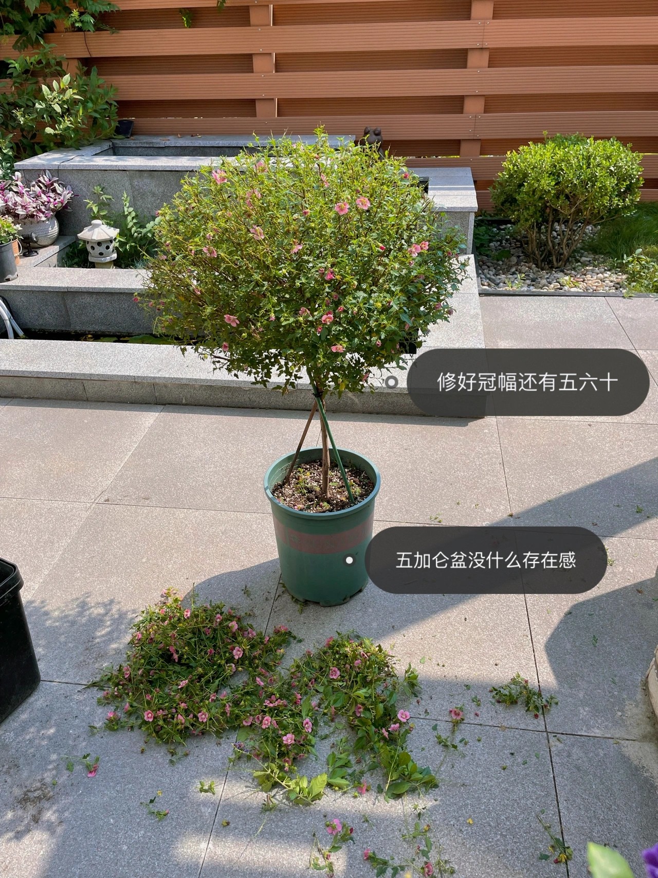 ?6万不到,改造72㎡现代庭院花园,教你做一个低维护的懒人花园