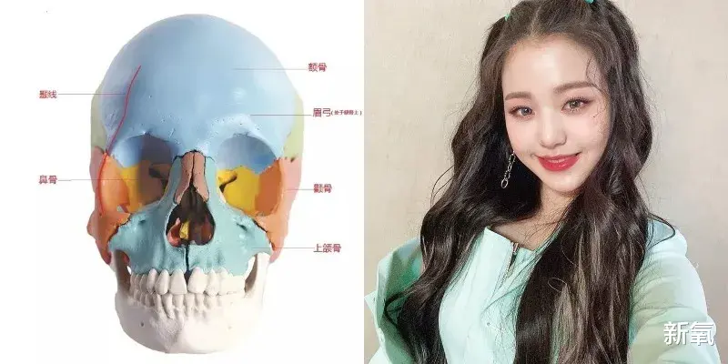 发际线 每个人造美女，都畏惧这种地狱级变美难度的骨相