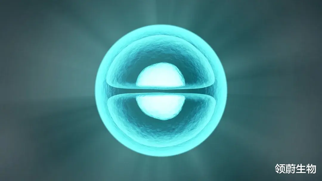 胚胎干细胞 都说干细胞可以再生，人体内的干细胞是无穷无尽的吗？