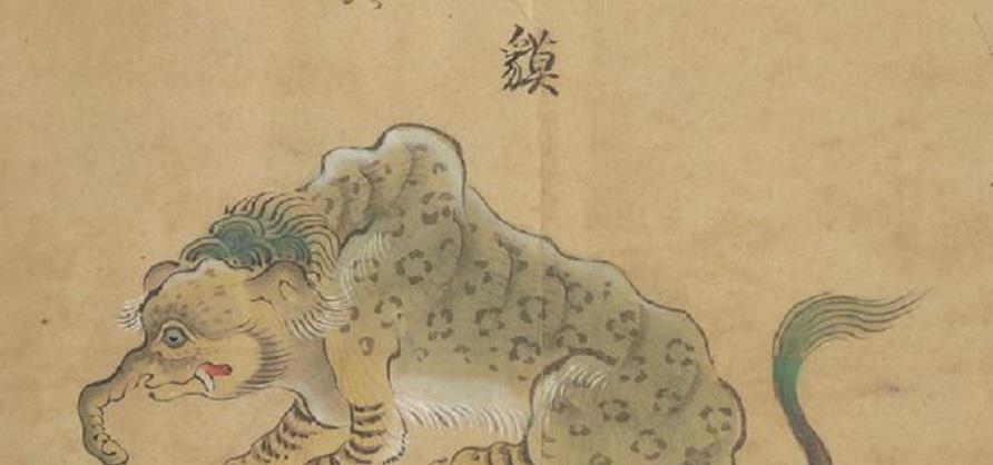 情微说|从凶猛的“食铁兽”变成以卖萌为生的国宝，熊猫究竟经历了什么？