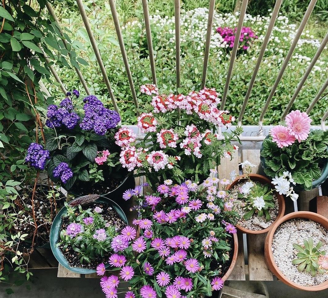 她家,每一个角落都值得被记录!虽满是杂物,却布置得精致有味!