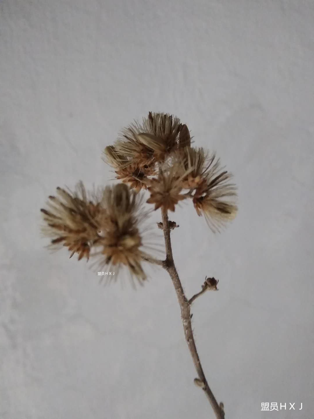 自驾 金沙湾的“五一”