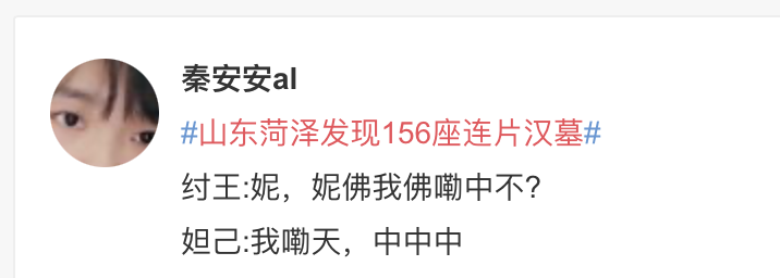 中国山东网菏泽 热搜第一！菏泽发现156座连片汉墓，网友坐不住了