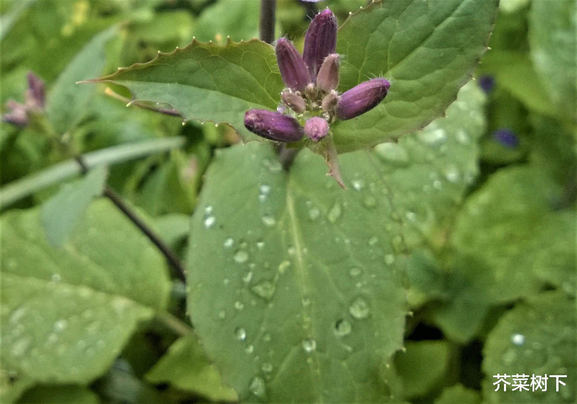 |职场武功,不能一味求快