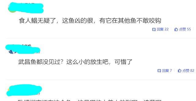 湖南|湖南钓鱼人野河钓起许“小扁鱼”，看起来像武昌鱼，网友：食人鲳