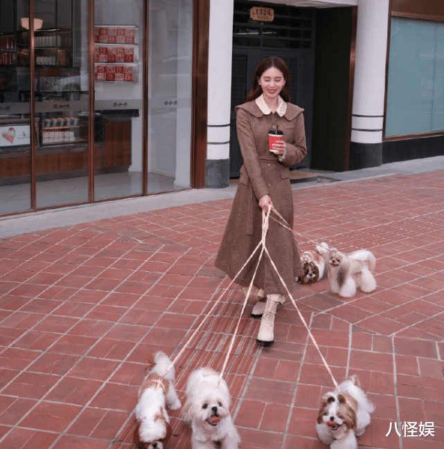 陈小纭|吴奇隆晒老婆视角庆生照，刘诗诗为老公定制蛋糕，甜喊他步爸超甜蜜