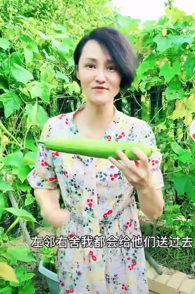 聂小倩|51岁跳水皇后接地气！打扮朴素亲自下田割菜，素颜出镜似冻龄