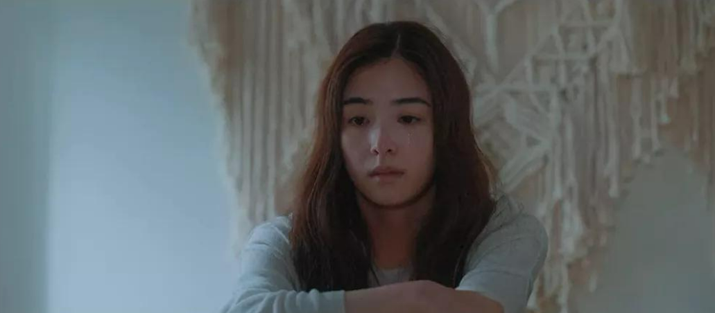 司法部|一口气追平,这么真实的国剧终于有了