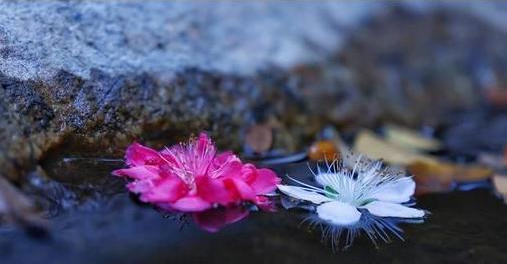 梦缘易八字命理|格局不高正官不显，且暗藏的八字，婚姻是否幸福稳定？