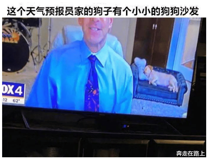 刘海 “这是我们村的流水席，还有谁不服？”哈哈哈看来都虚得很啊