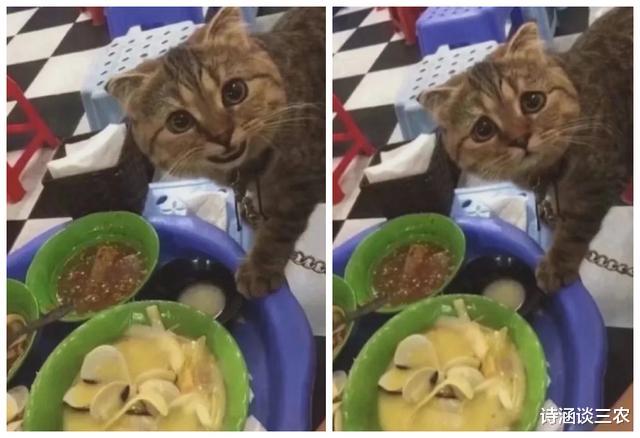 姐姐|“假设给你一百万，让你带三样东西去坟场呆一晚，你会选择带什么呢？”