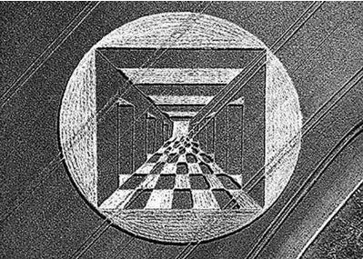  困扰科学界一个世界之谜“怪圈事件”形状精密的怪圈是谁所为？