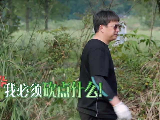 彭昱畅|彭昱畅为啥看不惯梁靖康？谁注意张子枫下地后的第1件事，忍不了