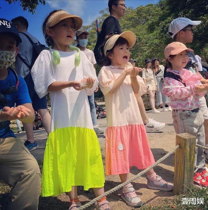 步步惊心|贾静雯一家五口出游,梧桐妹身高出众,修杰楷胡子邋遢显苍老!