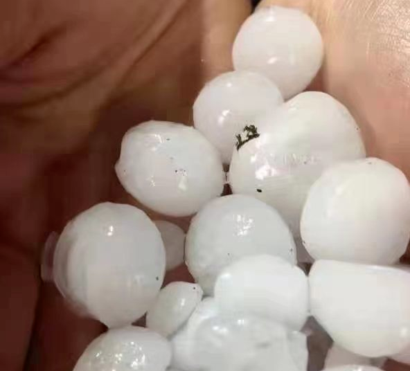 牛哥观察 场面罕见！安徽下冰雹了！最大的有鹌鹑蛋那么大！