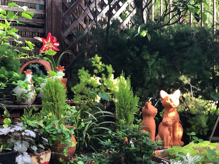 18年房龄的老房子，50㎡花园改造后，成了家人朋友最爱待的地方