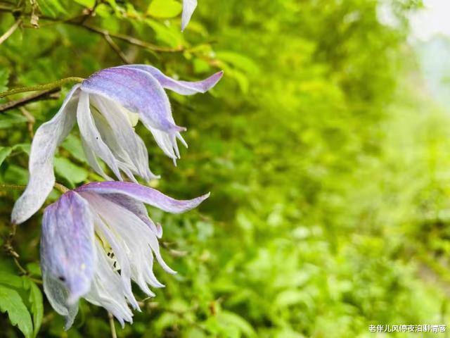 老伴儿风停夜泊聊情感|远离三种人际关系,才能真正过得好(受用的大实话)