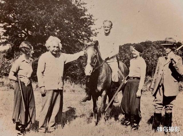 科学家 35张活久未见的照片，两只袋鼠打架太像人，一只勒住另一只大脖子