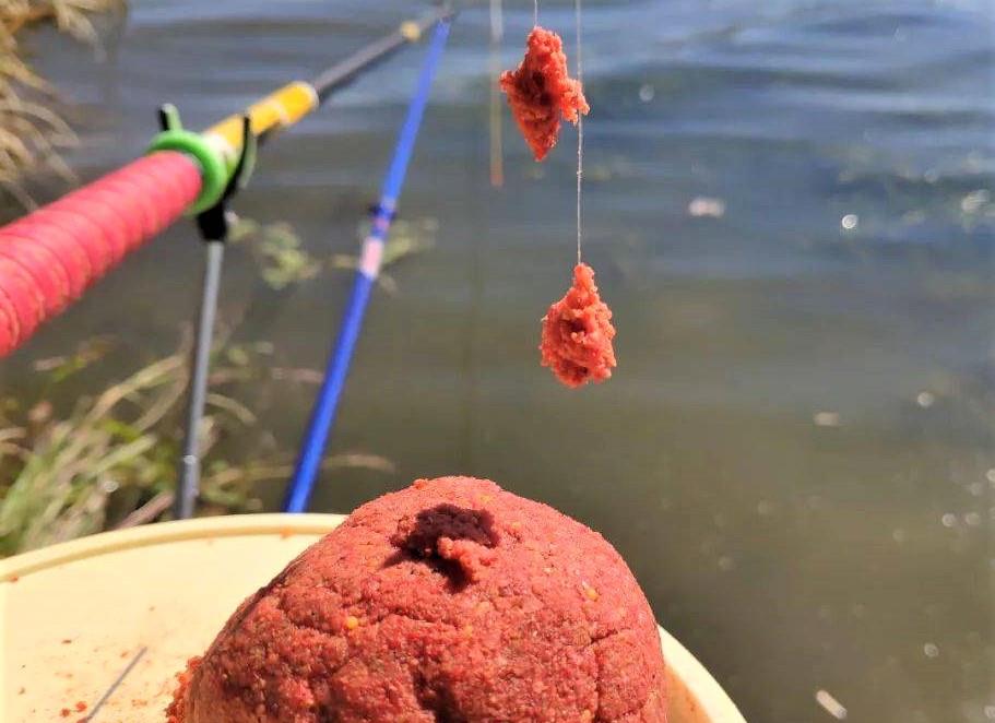 饵料|冬季野钓深水，这样调钓和用饵，渔获好、中鱼率高