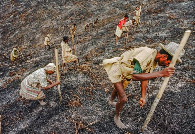 基因 挑食也有好处？人类祖先就因为挑食才存活，不过我们也能“改正”