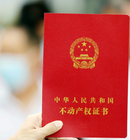 哲学筱筱|杜新枝怒怼许敏要房子，熊磊砸20万律师费，辩护律师当庭惹怒许敏