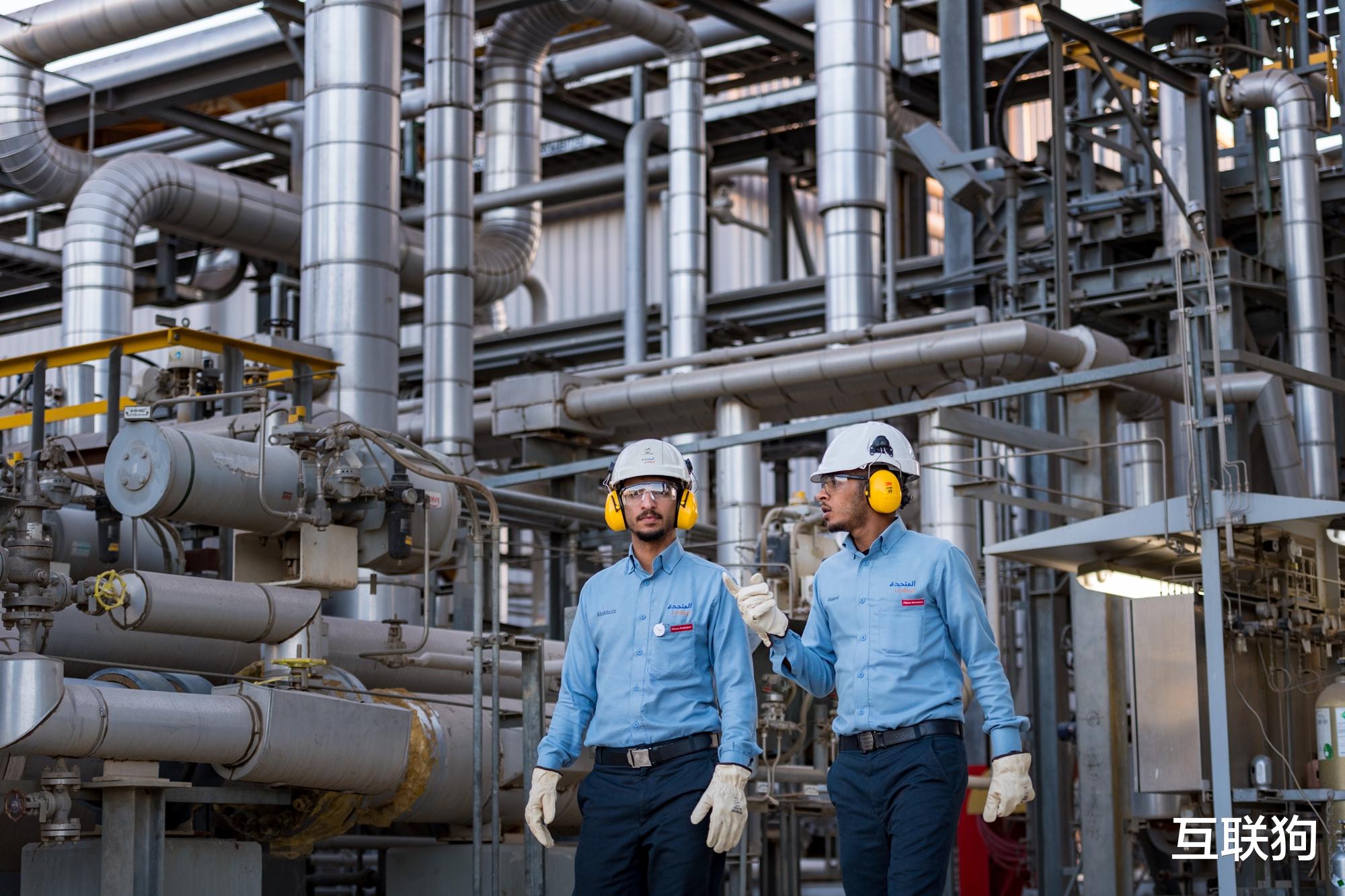  地球正在吸“碳”，小冰川会到来吗？