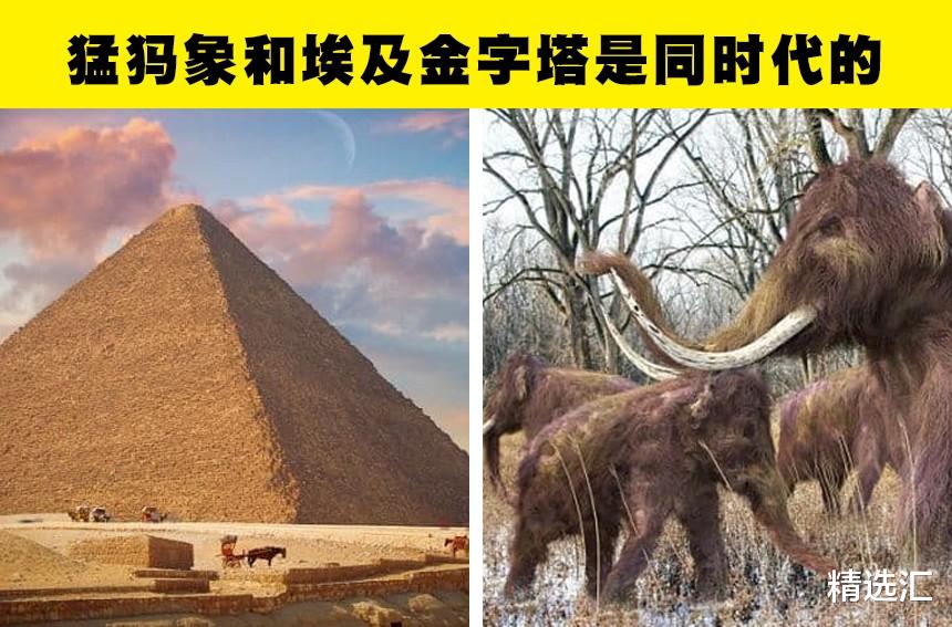 看起来像编造的小说,但属于真实历史的8个奇怪事实