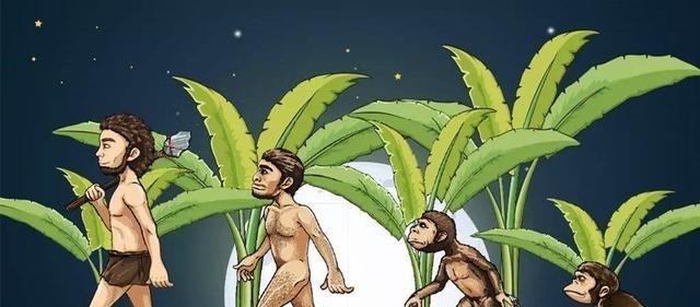 后代 中国人为何是黄种人？因为地理环境吗？其实性的选择进化也很重要