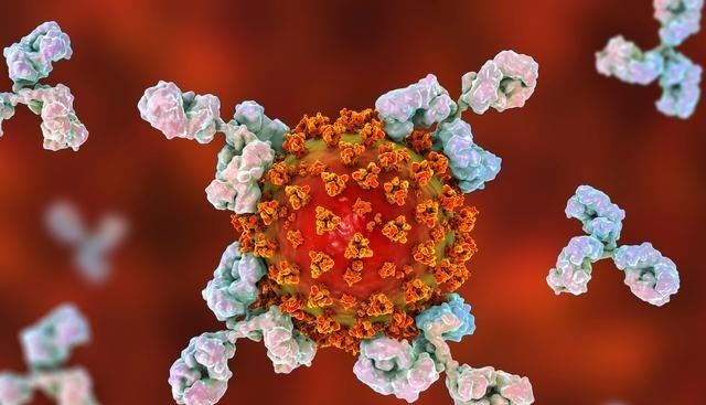 蚊子 蚊子在地球上究竟有什么用？如果全部灭绝，会有什么严重后果？