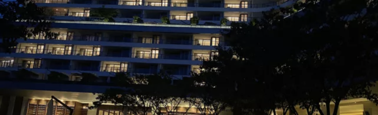 |Alina塔罗——在职业生涯方面，我需要知道的？