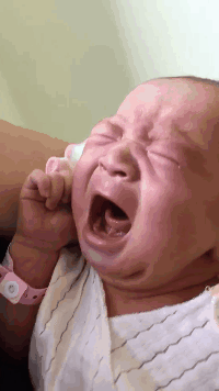 为什么地球环境不允许出现永生生物?网友:地球都还没永生呢