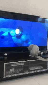 |“你们见过这样的猛男水杯吗？一定是全办公室最亮眼的了”