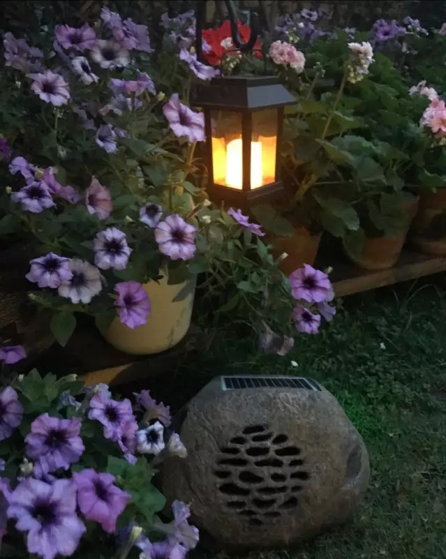 宁波|150㎡私家别墅庭院，打造花开满园的自然舒适小花园，太美了