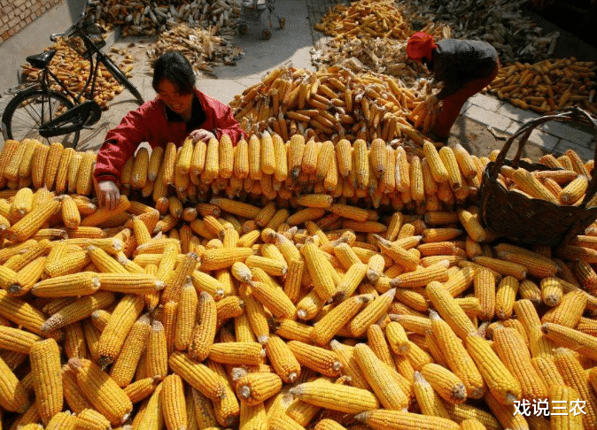 粮价 继牛羊肉疯涨之后，又一必需品上涨50%！新一轮“涨价潮”来了？