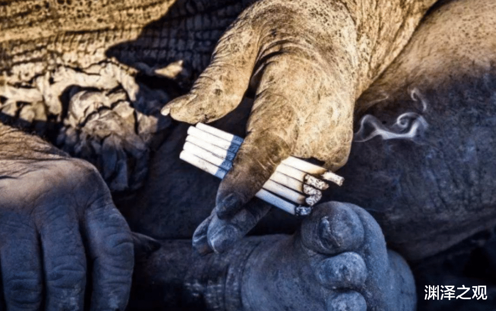 吉尼斯世界纪录|吉尼斯纪录保持者哈吉：60年没有洗过澡，身体像是穿了铠甲一样