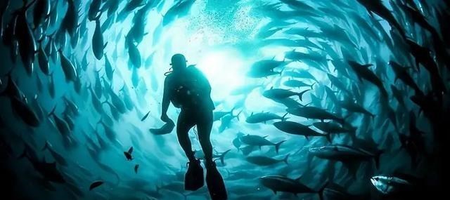 探测器 10000米的深海究竟有多恐怖？存在超强水压，潜水员不敢肆意挑战