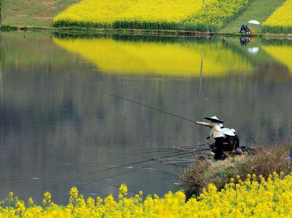 钓鱼|二十四节气钓鱼谚语