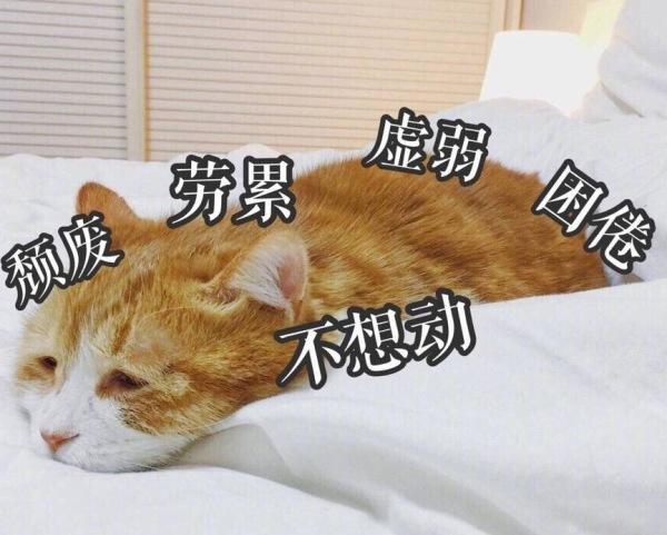 家加按摩|周末休息了，按个摩舒服一下吧！