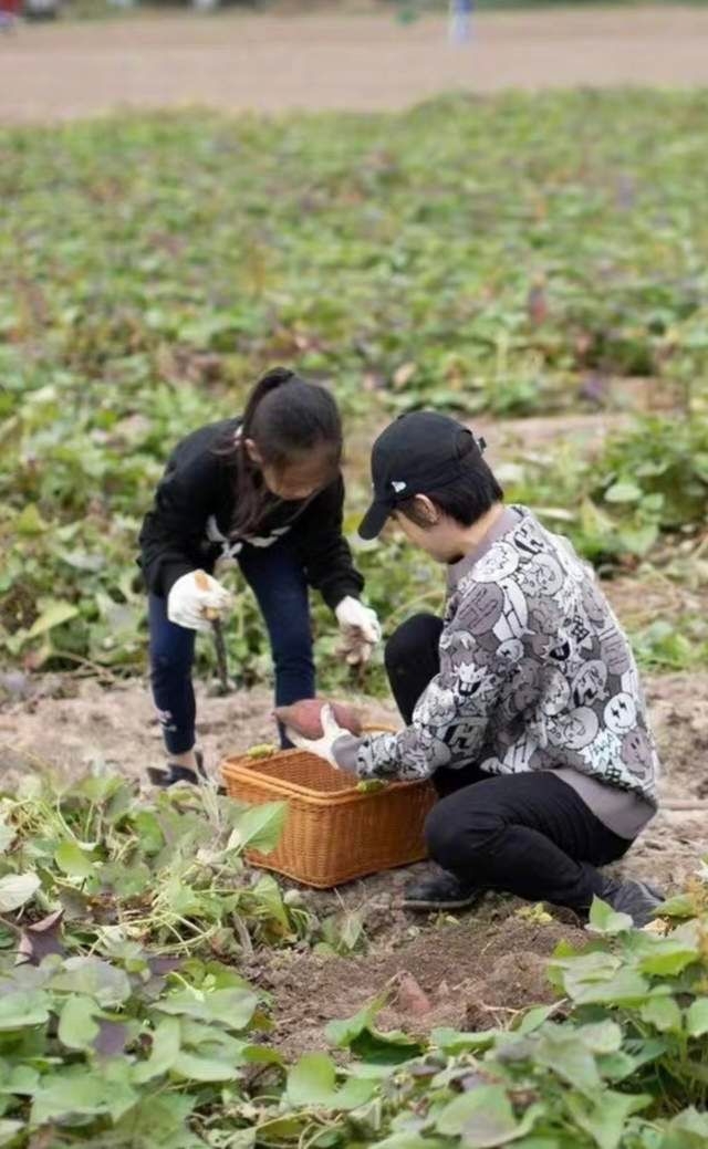玻璃水瓶 邓超孙俪带孩子参加接地气的挖红薯活动