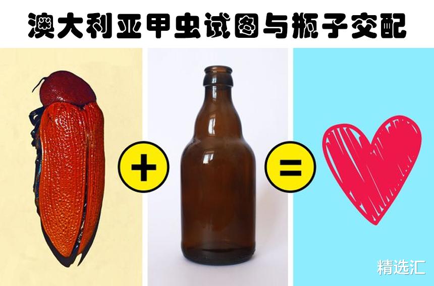 化石 在教科书里没有出现过的7个关于动物的疯狂事实