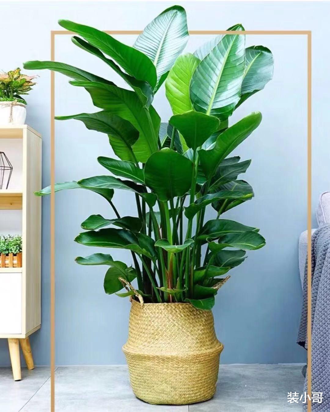 装小哥|入户门正对着卫生间怎么办？学会5种改造方法，轻松解决这些缺陷