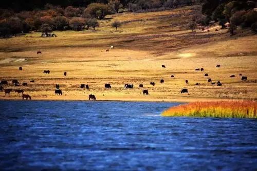 旅行 20个值得去的国内旅行地，去过7个的堪称旅行达人